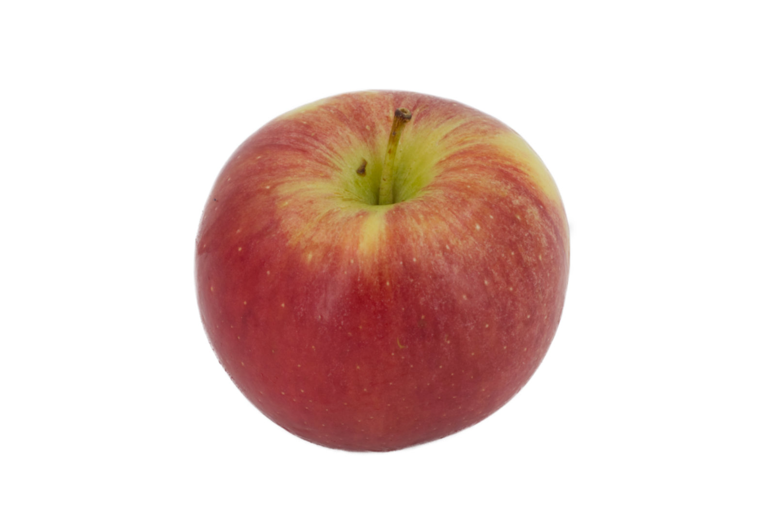 Äpfel Braeburn "2-lager" 8kg 75/80