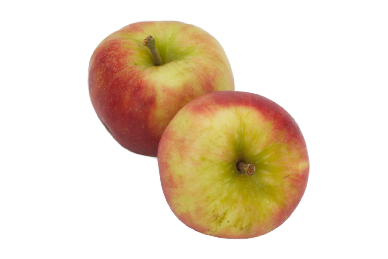 Bio-Demeter Äpfel Elstar "gelegt" 6,5kg