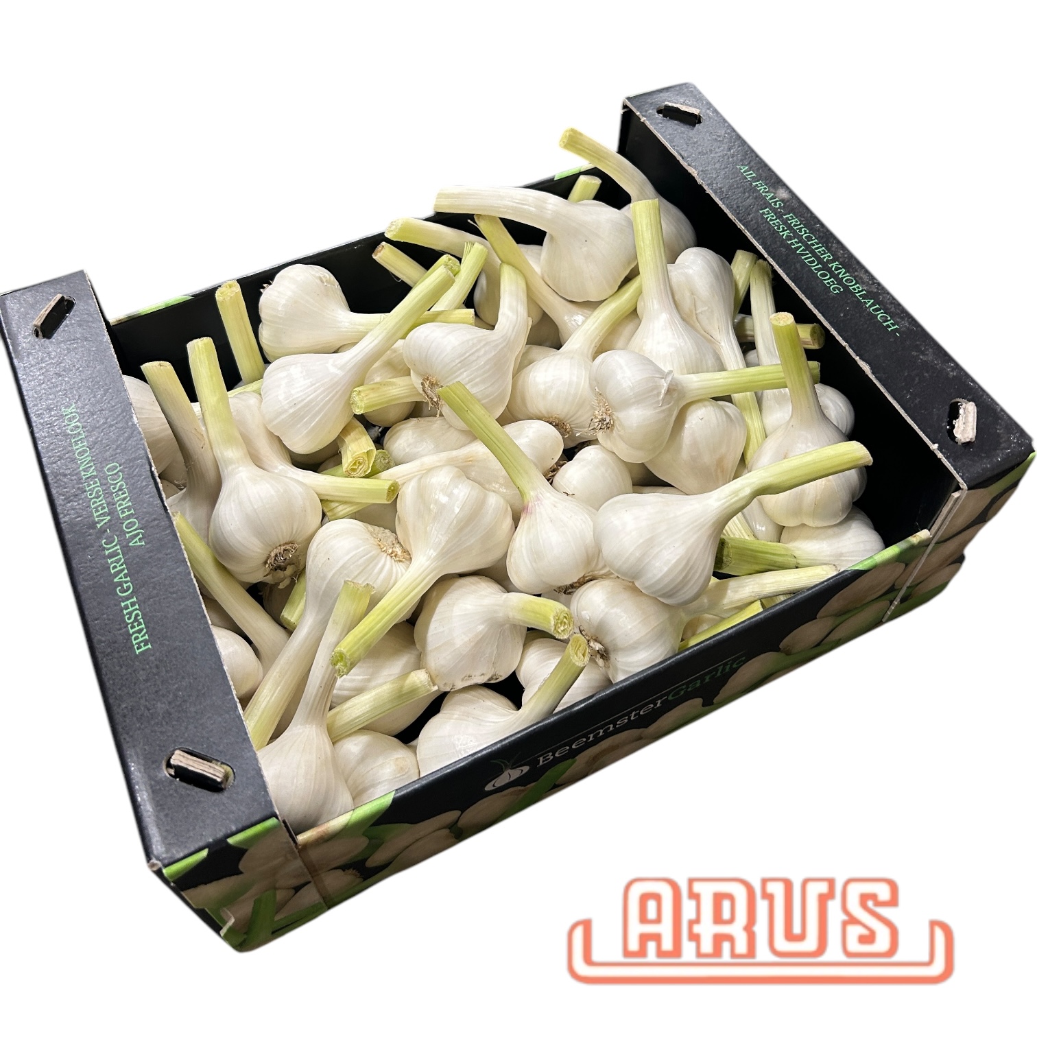 Knoblauch 5kg  "frisch" Karton - niederl. -