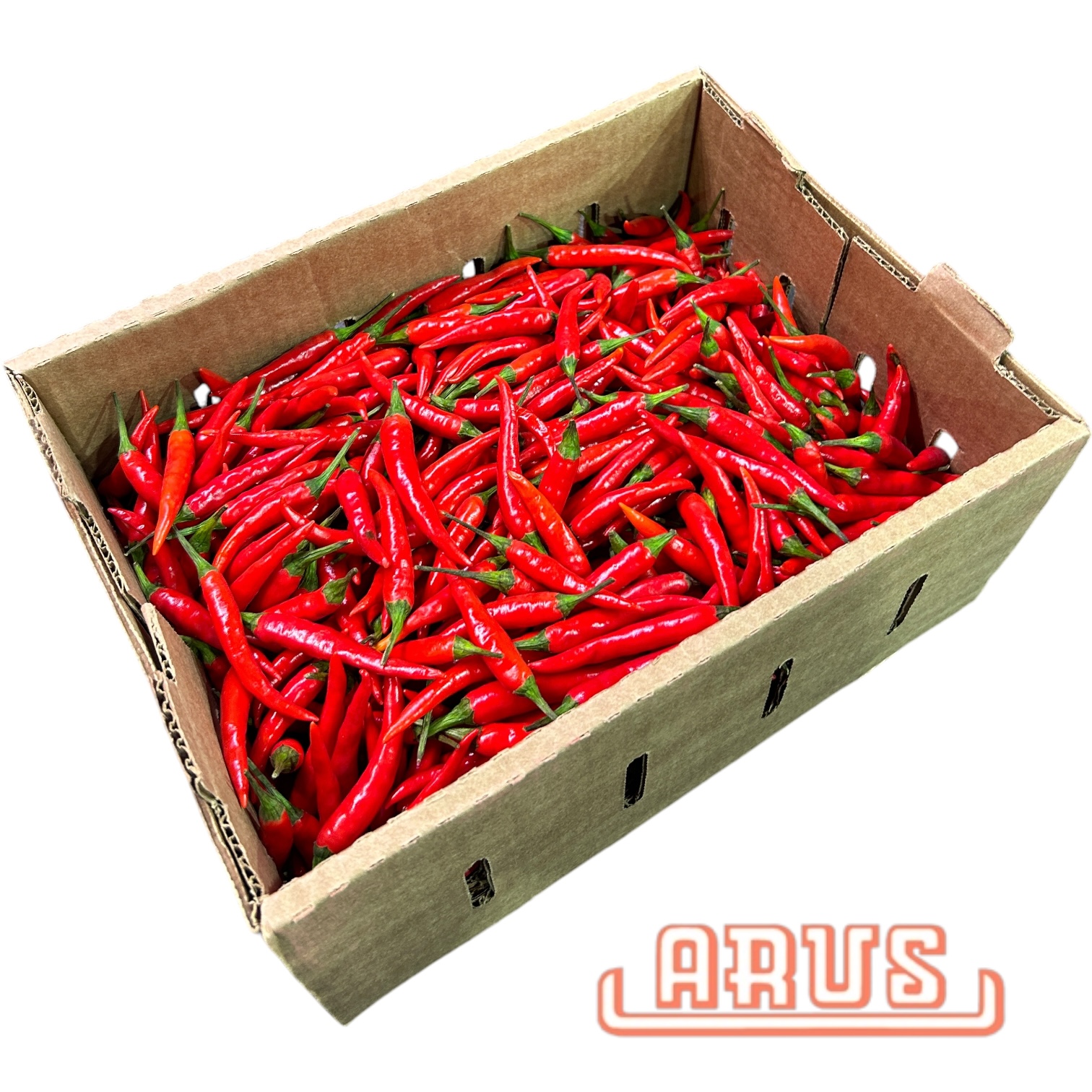 Chilli Schoten "rot" 2kg - lose -