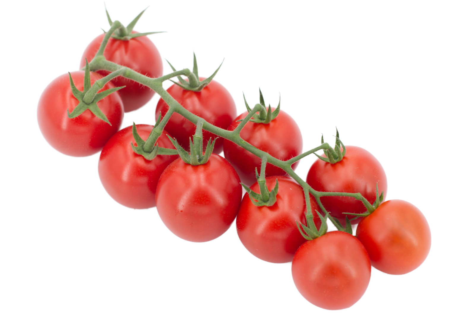 Cherrystraucht. 3kg -Tomato4you-