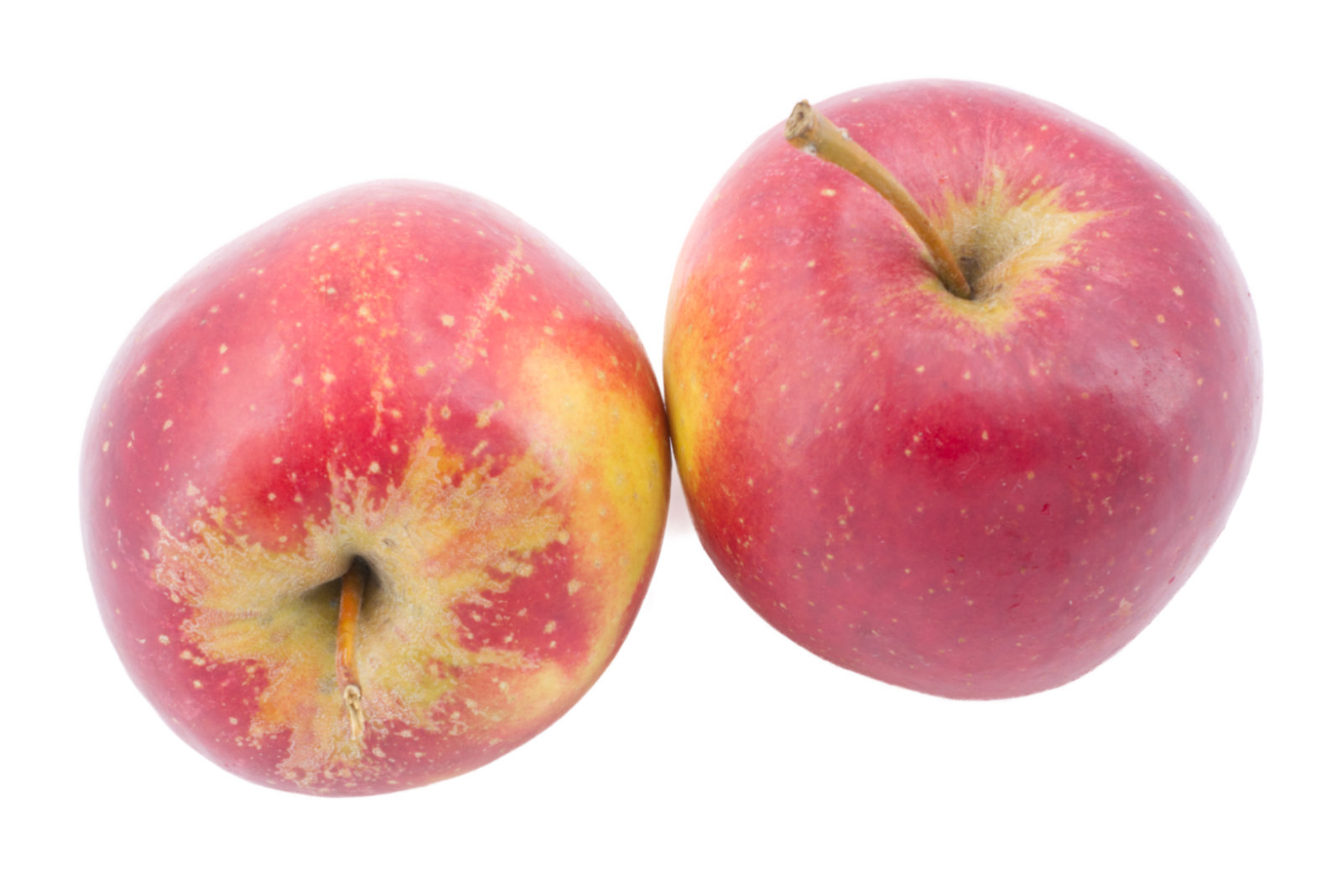 Äpfel Wellant "lose" 12kg