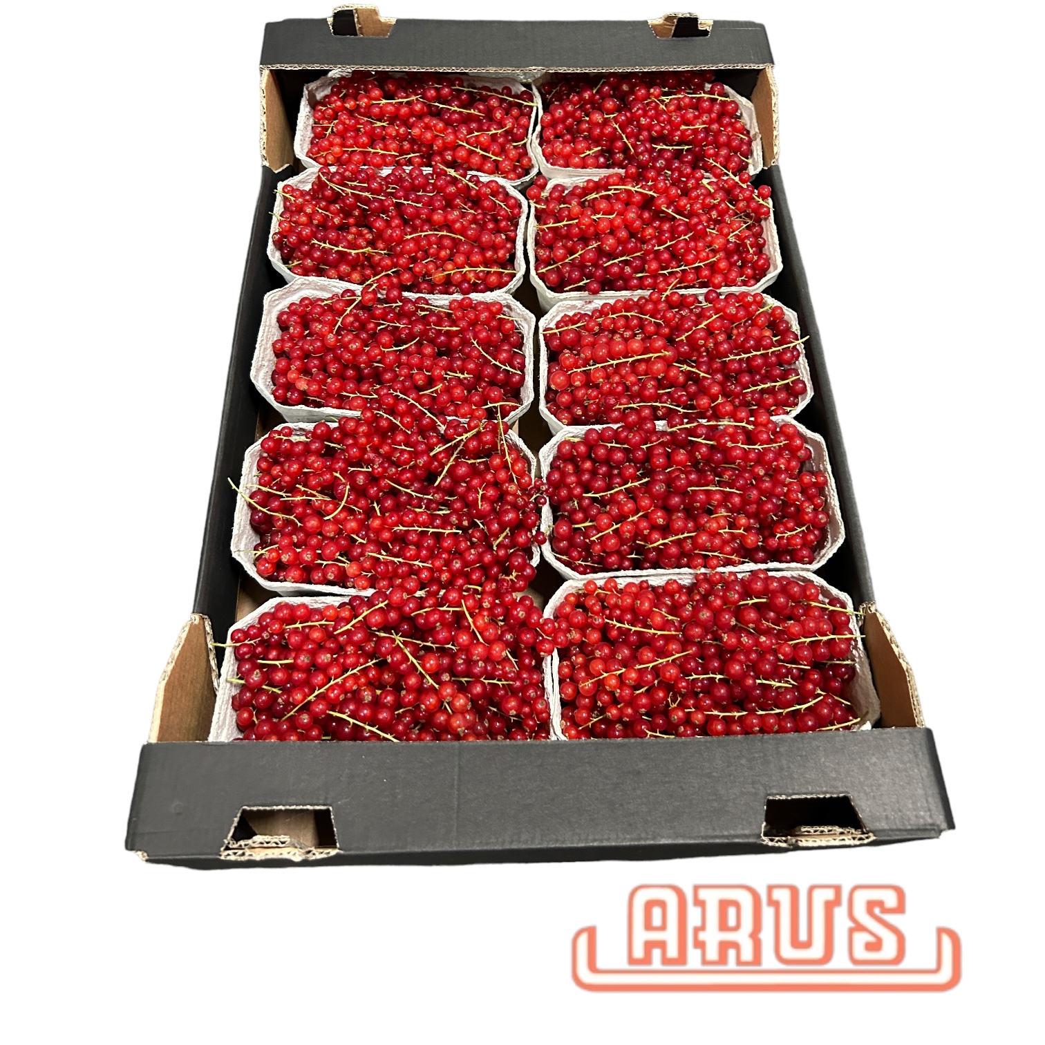 Johannisbeeren rot 10x500g -dtsch.-