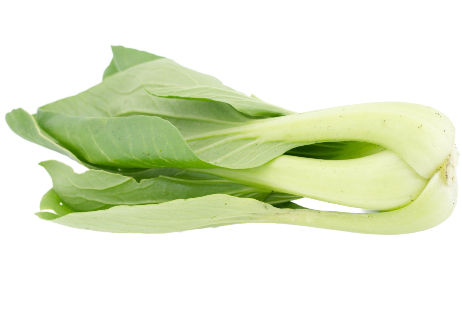 Mini-Pak-Choi 6 x 300g