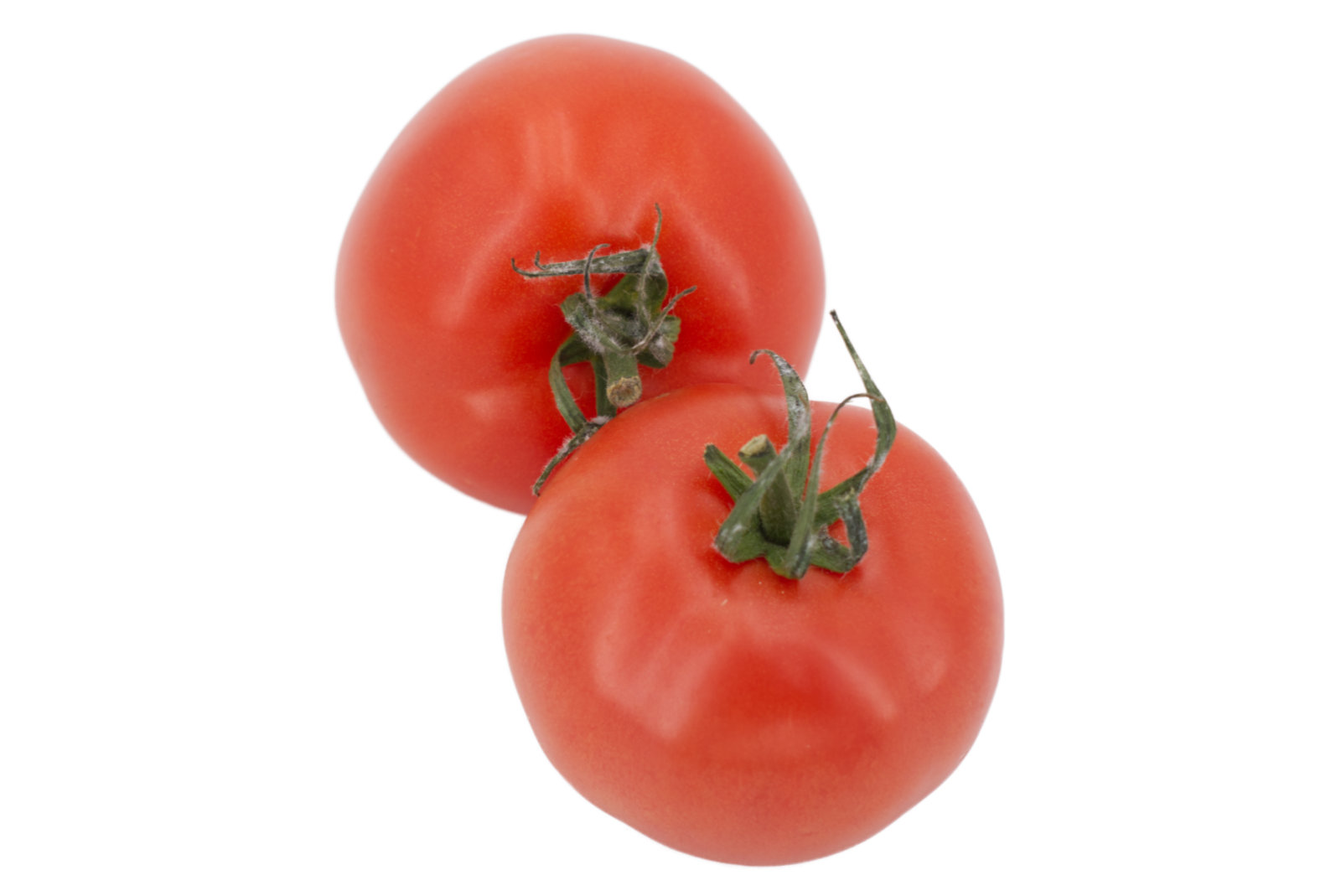 Tomaten "B 57+" 6kg - niederl. -