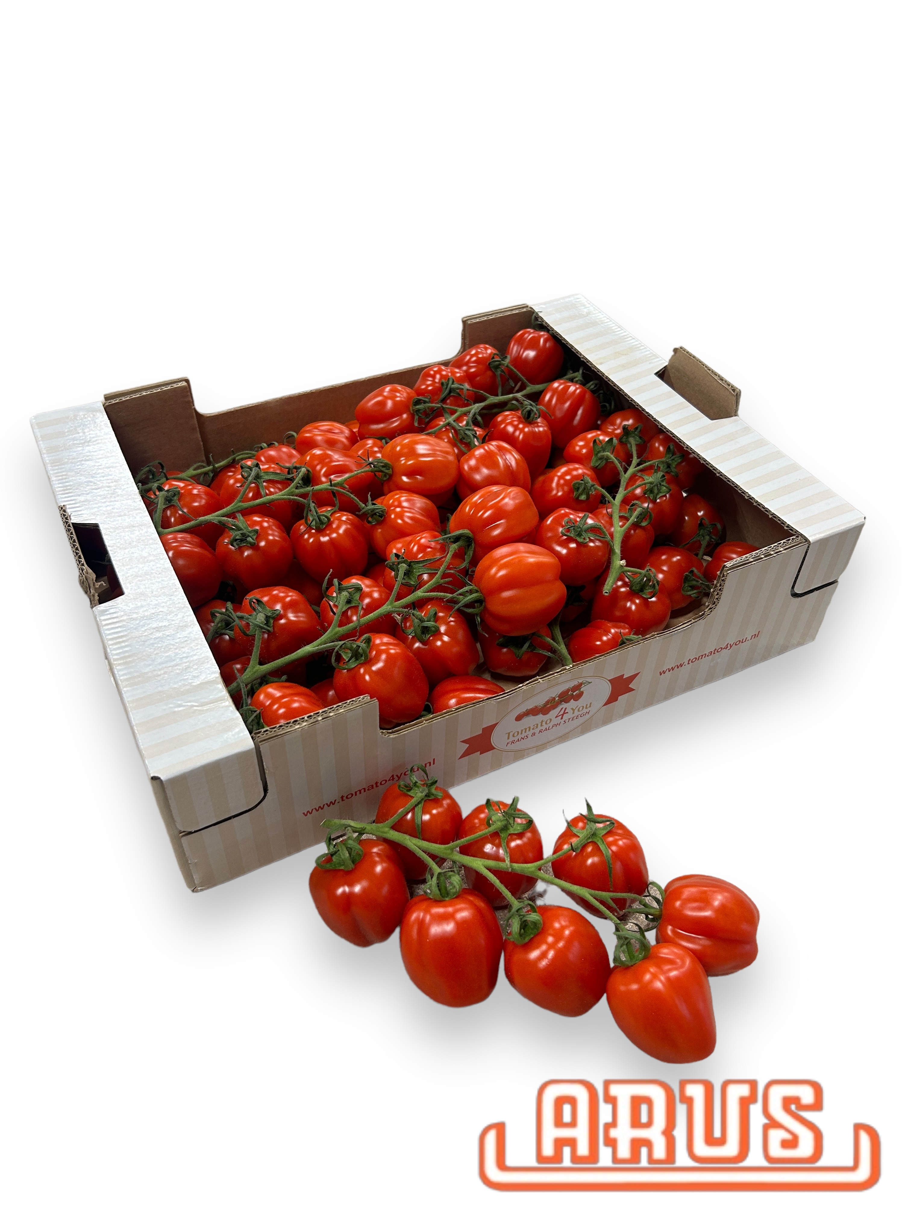 Flaschencherry  "Papaletto" 3kg - T4You -