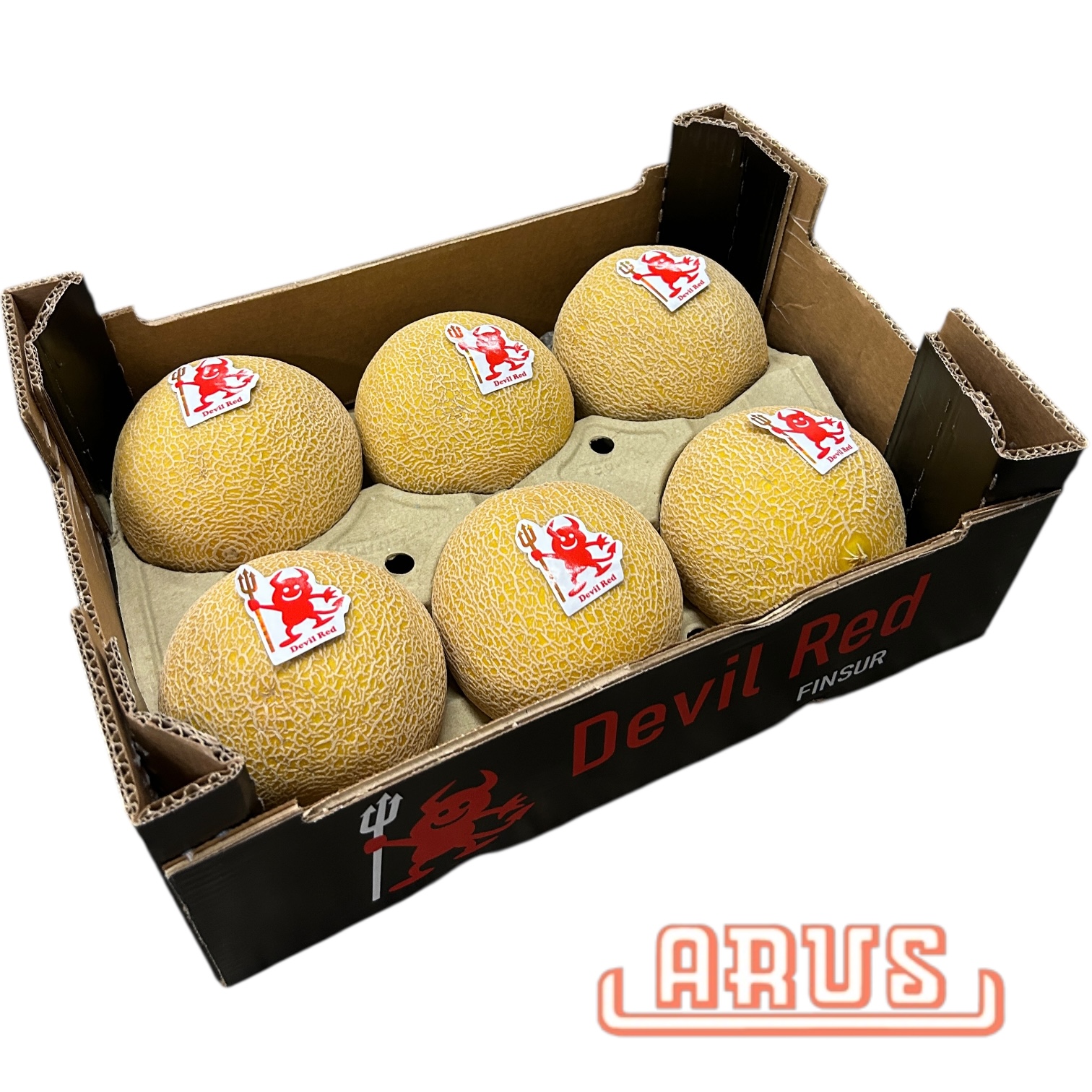 Galia Melonen 6er - span. -